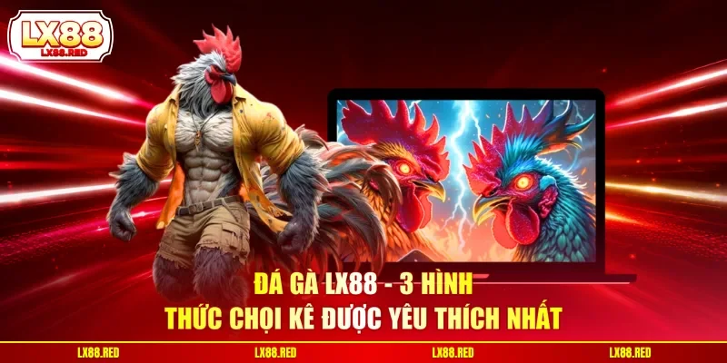 Đá Gà LX88 - 3 Hình Thức Chọi Kê Được Yêu Thích Nhất