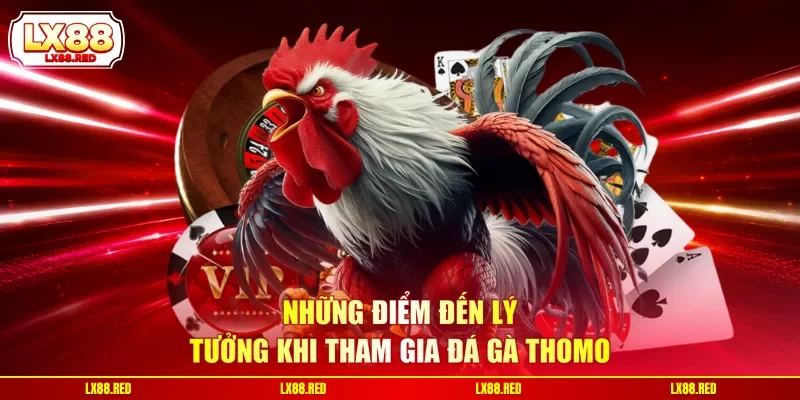 Những điểm đến lý tưởng khi tham gia đá gà Thomo