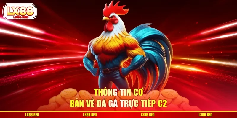 Thông tin cơ bản về đá gà trực tiếp C2