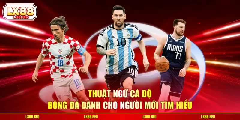 Thuật ngữ cá độ bóng đá dành cho người mới tìm hiểu