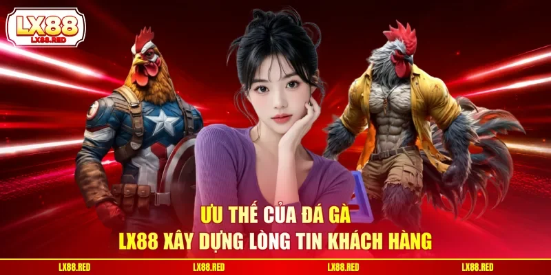 Ưu thế của đá gà LX88 xây dựng lòng tin khách hàng